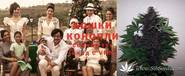 кокаин Арсеньев