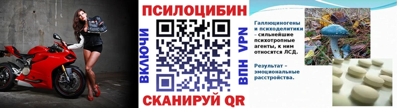 Купить  Нижний Ломов  Псилоцибиновые грибы GOLDEN TEACHER 